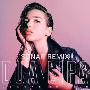 New Rules (Sonar&FreakMan Remix)