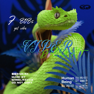 "蝰蛇"Gunna x Future Type Beat