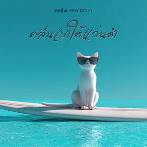 คลื่นเบาใต้แว่นดำ