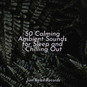 Enchantment's Emerald Secrets