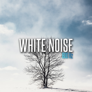 White Noise 800 Hz, Pt. 19.wav
