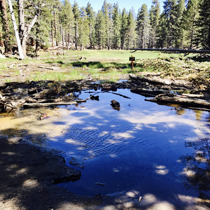 First morning of may - 五月的第一个早晨