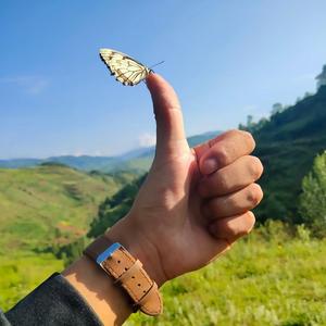 Various Artists / Various Artists-Ploua_-_Remix_(Mihaita_Piticu)（阿俊 remix）