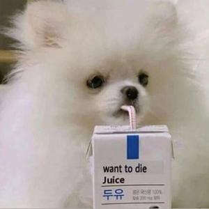 果汁 prod. Furyl/ZS Beatz