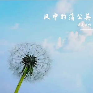 风中的蒲公英