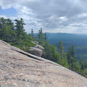 Quaker's Wife / Chesley's Jig / Lil' Red Brook / Lark in the Morning