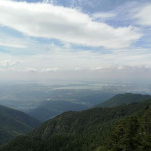 栈别小巷