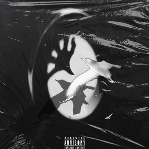 この両眼 (feat. Kidwing, Jilhooly & 22PEACE)