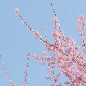 Ragasur-Ragasur ft. Neelima Jaiswal