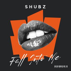 Fall Into Me (Remix)