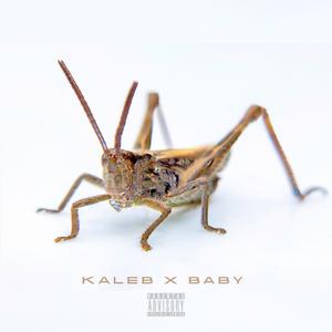 Crickets (feat. UpstateBaby)