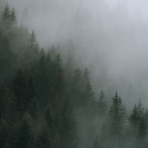 Free emo Trap X New wave type Beat叙事说唱伴奏