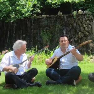 Moj Serbi ti shume gabove