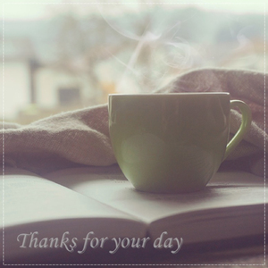 잠시라도 쉬어 가세요