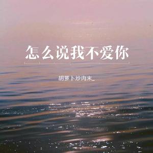 怎么说我不爱你