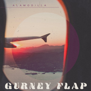 gurney flap
