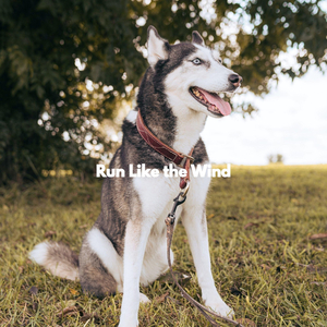 Thrilling Ambiance for Real Hours