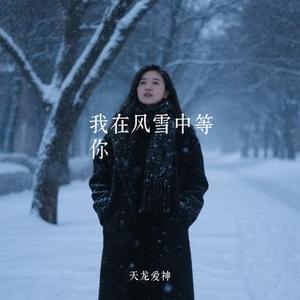 我在风雪中等你