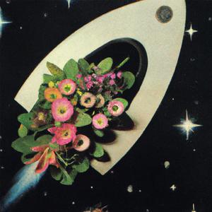 I Will Never Hurt You