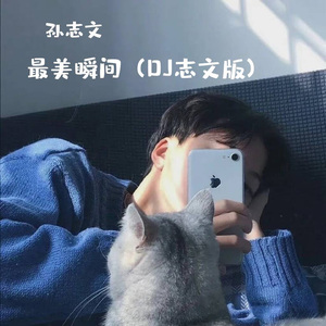 最美瞬间 (DJ志文版)