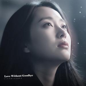 I Loved You Too Much