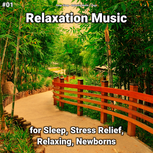 Relaxation Music Pt. 75