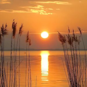 变音_光头华夏-无期(SingleVersion)[mqms]