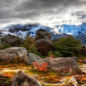 南征北战NZBZ-南征北战NZBZ-我的天空