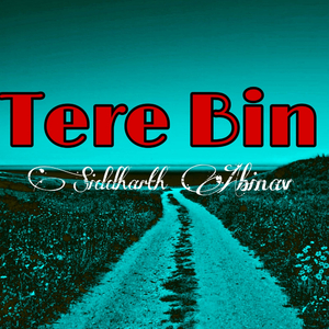 Tere Bin