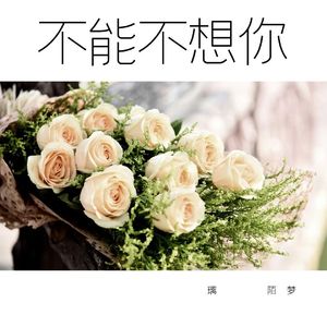 不能不想你