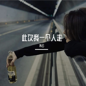 此次我一个人走（DJ版）