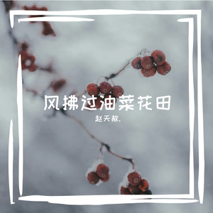 风拂过油菜花田