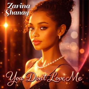 You Dont love me Zarina Shanay