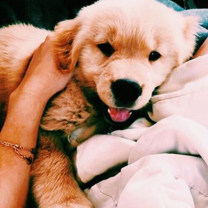 A Cry That You Answered (sped up)