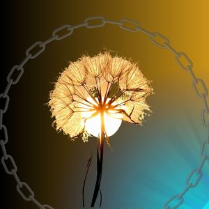 我会一个人努力过好（Prod.by Lakewavebeatz）