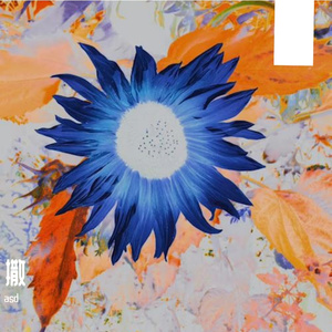 慵懒午后的沉醉时光