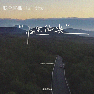 归途的光 (DJ版)