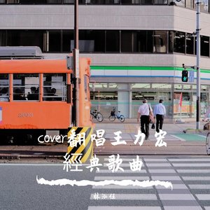 愛錯cover