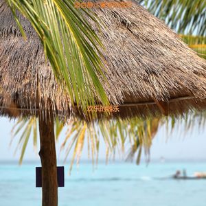 适合水疗柔和的音乐