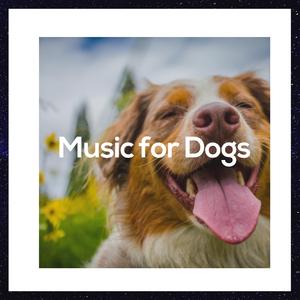 Music for Dogs