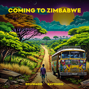 Coming to Zimbabwe