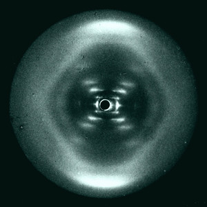 Það veit enginn hvar ég er