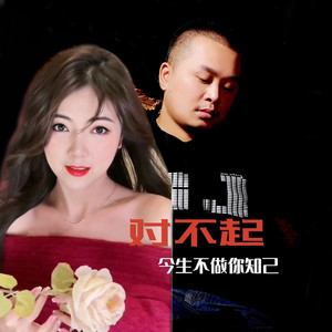 对不起今生不做你知己 (男声版)