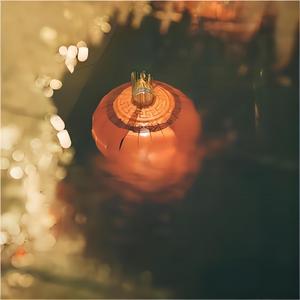 春色入满园 (Instrumental)