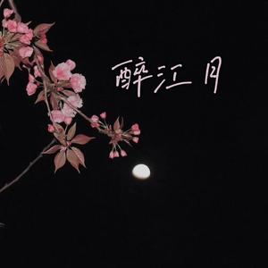 醉江月（翻自 弦子）