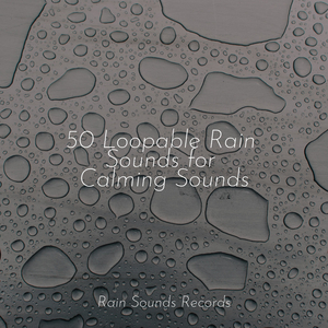 Woods, Mild Rain, Foliage