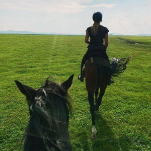 机器铃 砍菜刀（合声版）