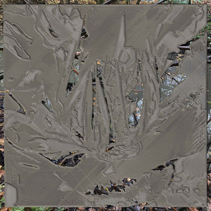 Honey Hole (4Th Cut)