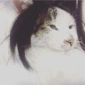 我在纽约打电话给你