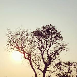 说故事的男孩儿